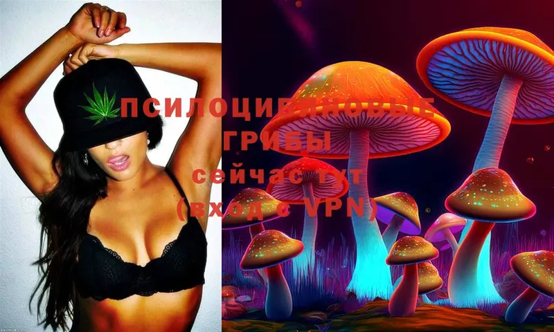 Галлюциногенные грибы MAGIC MUSHROOMS  blacksprut ссылки  Истра 